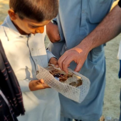 photo_2026-02-15 15.23.11