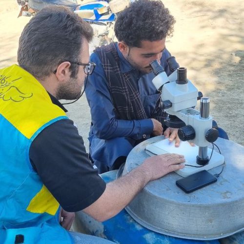 photo_2026-02-15 15.23.16